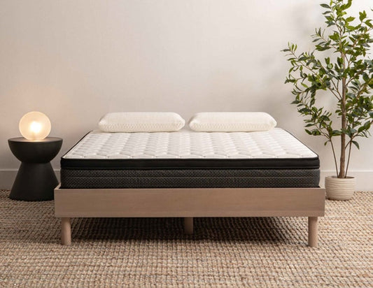 Colonial Comfort Foam Medium Euro Top
